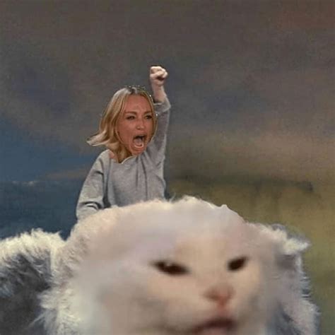 cat meme lady yelling|woman yelling at cat original.